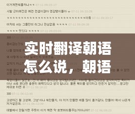 實(shí)時(shí)翻譯朝語怎么說，朝語翻譯字典 