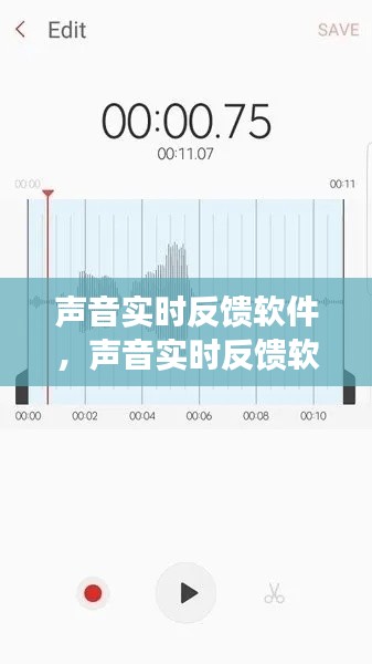 聲音實(shí)時(shí)反饋軟件，聲音實(shí)時(shí)反饋軟件下載 