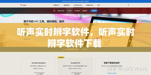 聽聲實時辨字軟件，聽聲實時辨字軟件下載 
