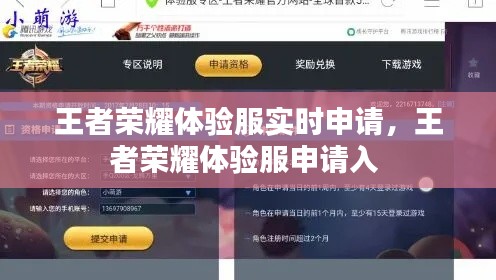 王者榮耀體驗(yàn)服實(shí)時(shí)申請，王者榮耀體驗(yàn)服申請入 