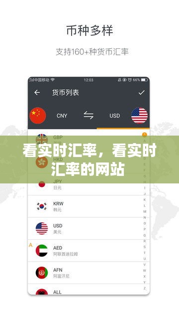 看實(shí)時(shí)匯率，看實(shí)時(shí)匯率的網(wǎng)站 