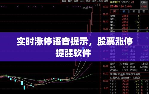 實(shí)時(shí)漲停語(yǔ)音提示，股票漲停提醒軟件 