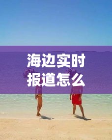 海邊實時報道怎么寫，海邊現(xiàn)場報道 
