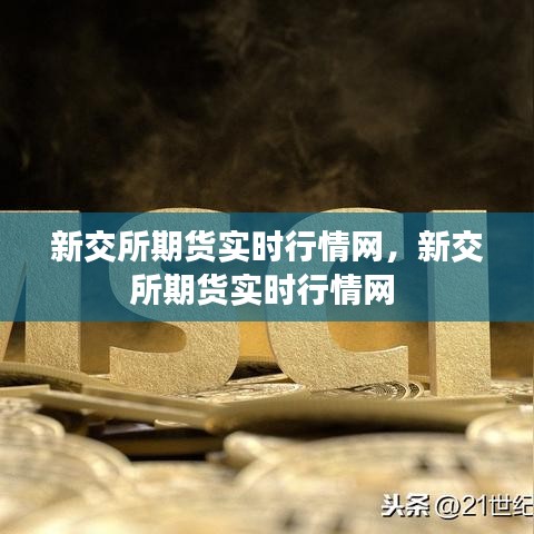新交所期貨實時行情網(wǎng)，新交所期貨實時行情網(wǎng) 