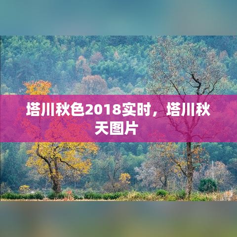 塔川秋色2018實時，塔川秋天圖片 