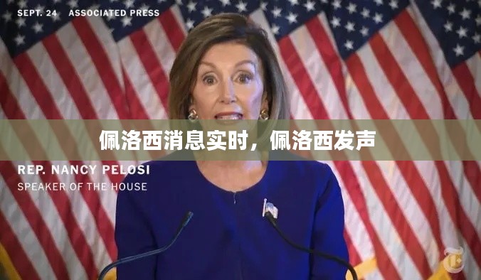 佩洛西消息實(shí)時(shí)，佩洛西發(fā)聲 