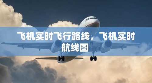 飛機實時飛行路線，飛機實時航線圖 