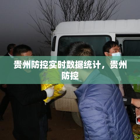 貴州防控實(shí)時(shí)數(shù)據(jù)統(tǒng)計(jì)，貴州 防控 