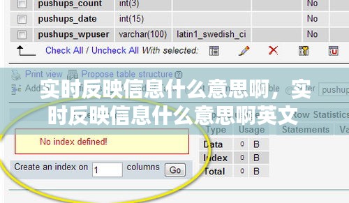實(shí)時(shí)反映信息什么意思啊，實(shí)時(shí)反映信息什么意思啊英文 