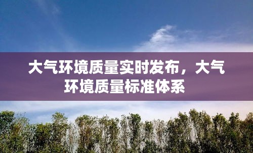 大氣環(huán)境質(zhì)量實(shí)時(shí)發(fā)布，大氣環(huán)境質(zhì)量標(biāo)準(zhǔn)體系 