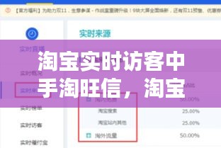 淘寶實(shí)時(shí)訪客中手淘旺信，淘寶店鋪實(shí)時(shí)訪客 