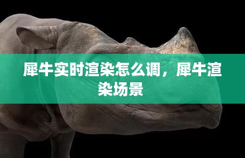 犀牛實時渲染怎么調(diào)，犀牛渲染場景 
