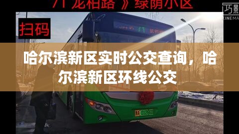 哈爾濱新區(qū)實時公交查詢，哈爾濱新區(qū)環(huán)線公交 
