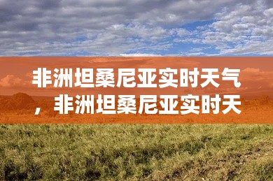 非洲坦桑尼亞實時天氣，非洲坦桑尼亞實時天氣 