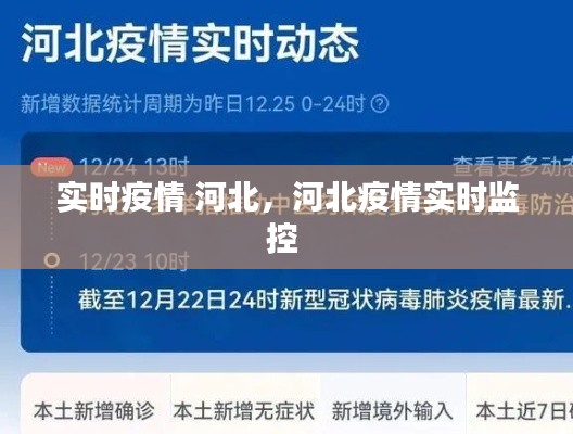 實(shí)時(shí)疫情 河北，河北疫情實(shí)時(shí)監(jiān)控 