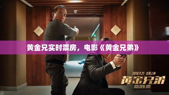 黃金兄實(shí)時(shí)票房，電影《黃金兄弟》 