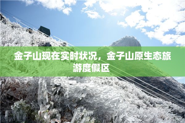 金子山現(xiàn)在實(shí)時(shí)狀況，金子山原生態(tài)旅游度假區(qū) 