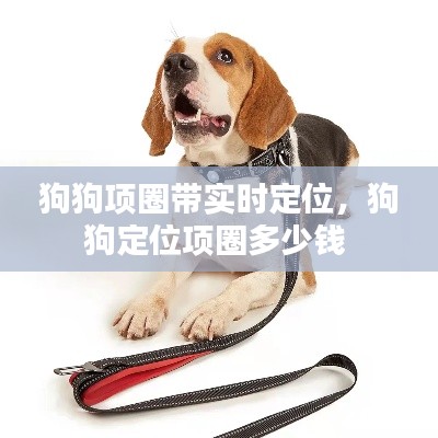 狗狗項(xiàng)圈帶實(shí)時(shí)定位，狗狗定位項(xiàng)圈多少錢 