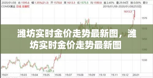 濰坊實時金價走勢最新圖，濰坊實時金價走勢最新圖 