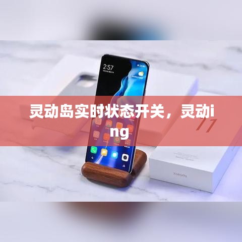 靈動(dòng)島實(shí)時(shí)狀態(tài)開關(guān)，靈動(dòng)ing 