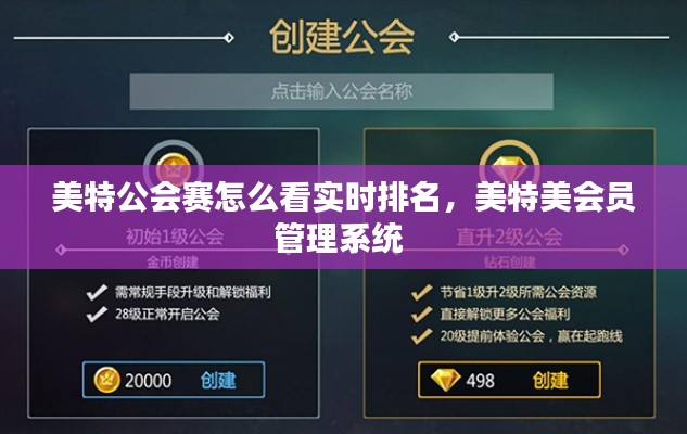 美特公會(huì)賽怎么看實(shí)時(shí)排名，美特美會(huì)員管理系統(tǒng) 
