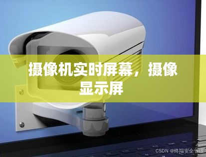攝像機實時屏幕，攝像顯示屏 