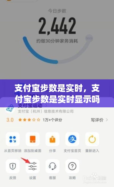 支付寶步數(shù)是實(shí)時(shí)，支付寶步數(shù)是實(shí)時(shí)顯示嗎 