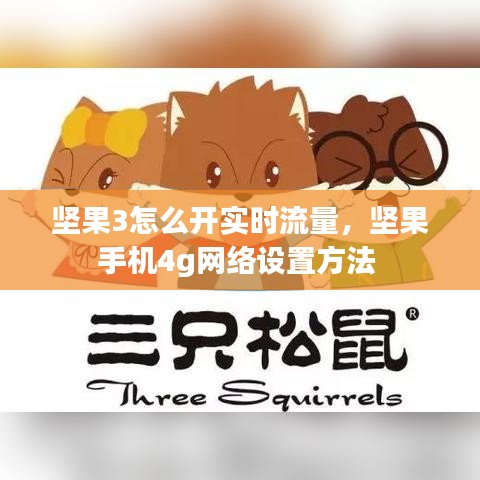 堅(jiān)果3怎么開(kāi)實(shí)時(shí)流量，堅(jiān)果手機(jī)4g網(wǎng)絡(luò)設(shè)置方法 