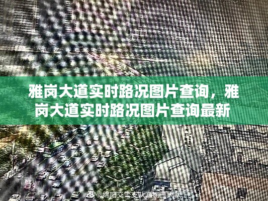 雅崗大道實(shí)時路況圖片查詢，雅崗大道實(shí)時路況圖片查詢最新 