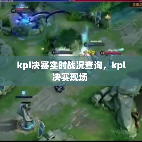 kpl決賽實(shí)時戰(zhàn)況查詢，kpl決賽現(xiàn)場 