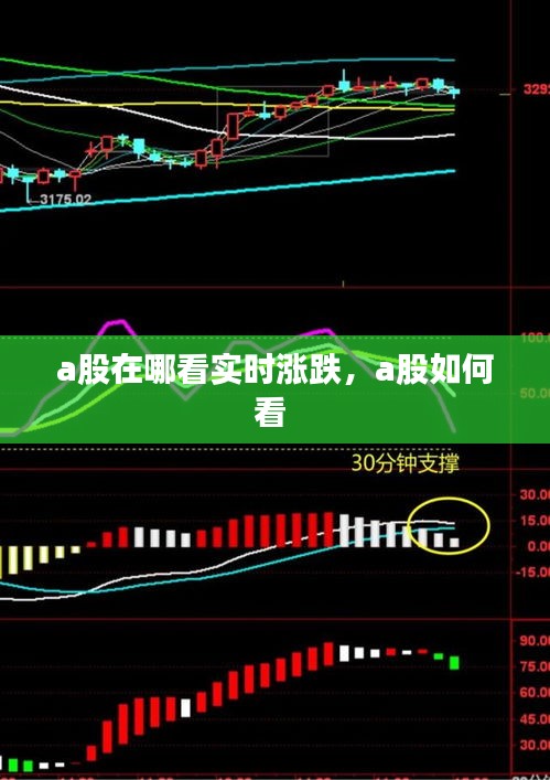 a股在哪看實(shí)時(shí)漲跌，a股如何看 