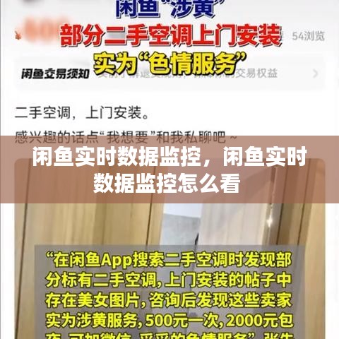 閑魚實時數(shù)據(jù)監(jiān)控，閑魚實時數(shù)據(jù)監(jiān)控怎么看 