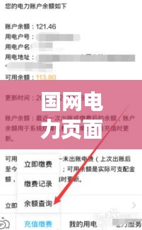 國(guó)網(wǎng)電力頁(yè)面看不到實(shí)時(shí)余額，網(wǎng)上國(guó)網(wǎng)怎么不顯示電費(fèi)余額 