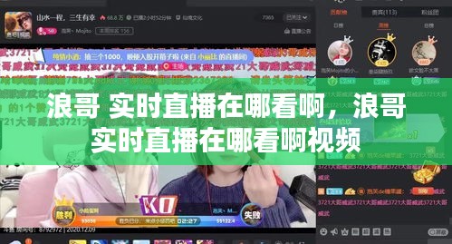 浪哥 實(shí)時(shí)直播在哪看啊，浪哥 實(shí)時(shí)直播在哪看啊視頻 