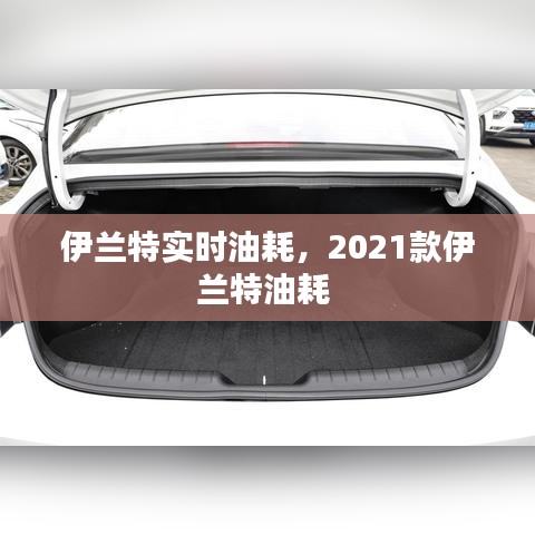 伊蘭特實(shí)時(shí)油耗，2021款伊蘭特油耗 
