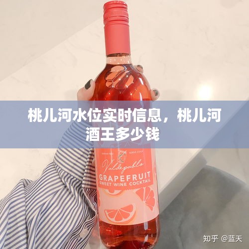 桃兒河水位實(shí)時(shí)信息，桃兒河酒王多少錢 