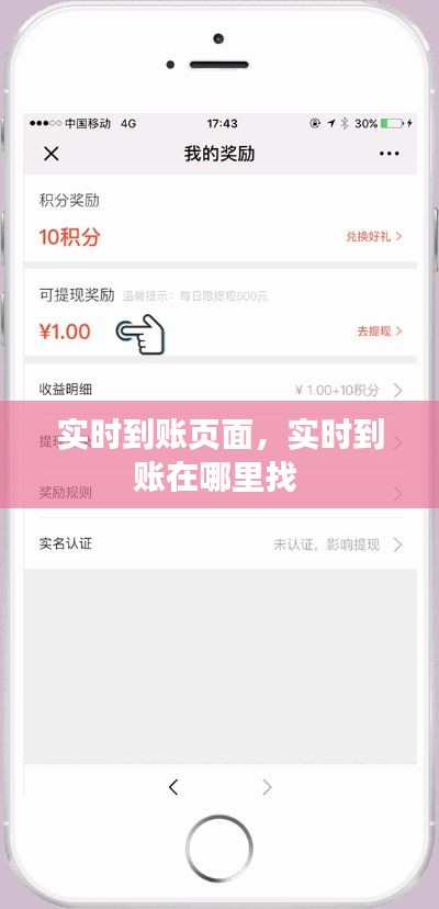 實時到賬頁面，實時到賬在哪里找 