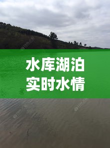 水庫湖泊實(shí)時(shí)水情報(bào)告，水庫湖泊實(shí)時(shí)水情報(bào)告 