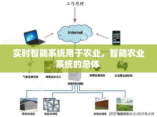 實時智能系統(tǒng)用于農(nóng)業(yè)，智能農(nóng)業(yè)系統(tǒng)的總體 