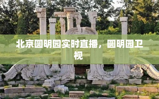 北京圓明園實(shí)時(shí)直播，圓明園衛(wèi)視 