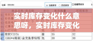 實(shí)時(shí)庫(kù)存變化什么意思呀，實(shí)時(shí)庫(kù)存變化什么意思呀 