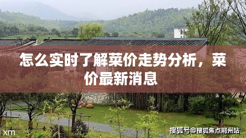 怎么實(shí)時(shí)了解菜價(jià)走勢(shì)分析，菜價(jià)最新消息 