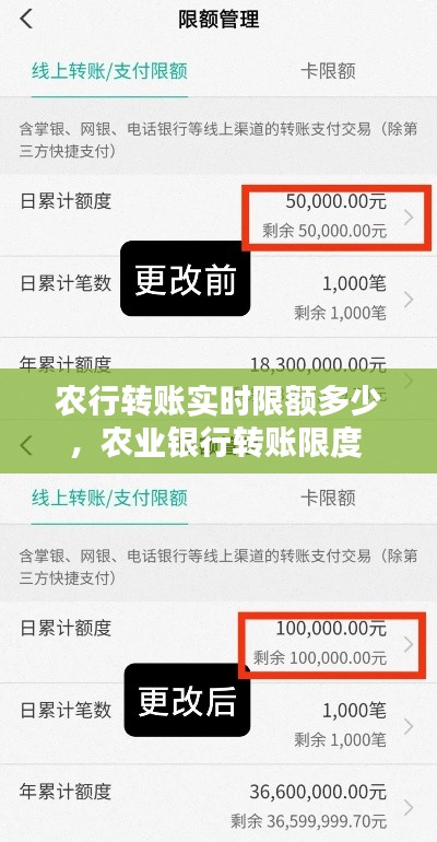 衣不兼采 第5頁