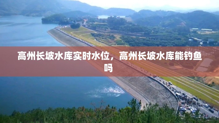 高州長坡水庫實時水位，高州長坡水庫能釣魚嗎 