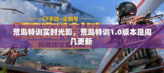 荒島特訓實時光影，荒島特訓1.0版本是周幾更新 