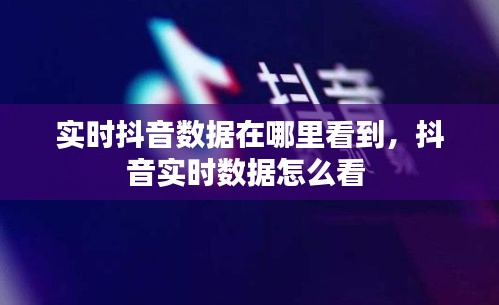 實(shí)時(shí)抖音數(shù)據(jù)在哪里看到，抖音實(shí)時(shí)數(shù)據(jù)怎么看 