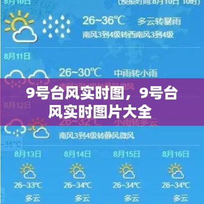 9號臺風(fēng)實時圖，9號臺風(fēng)實時圖片大全 
