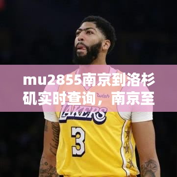 mu2855南京到洛杉磯實(shí)時(shí)查詢，南京至洛杉磯機(jī)票 
