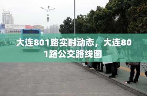 大連801路實時動態(tài)，大連801路公交路線圖 