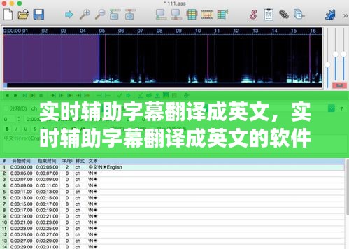 實時輔助字幕翻譯成英文，實時輔助字幕翻譯成英文的軟件 